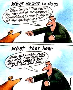 what people say what dogs hear